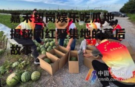 嘉禾望岗娱乐吃瓜地,揭秘网红聚集地的幕后故事