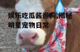 娱乐吃瓜酱遛狗,揭秘明星宠物日常