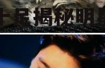 娱乐圈猫猫吃瓜图片,萌态十足揭秘明星幕后趣闻