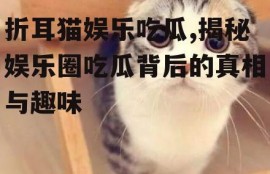 折耳猫娱乐吃瓜,揭秘娱乐圈吃瓜背后的真相与趣味
