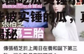 娱乐圈吃瓜实锤小说,那些被实锤的瓜，真相大揭秘