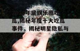 2020年底娱乐圈吃瓜,揭秘年度十大吃瓜事件，揭秘明星隐私与真相