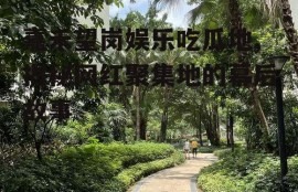 嘉禾望岗娱乐吃瓜地,揭秘网红聚集地的幕后故事