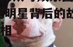 微信公众号娱乐圈吃瓜,揭秘明星背后的故事与真相