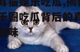 折耳猫娱乐吃瓜,揭秘娱乐圈吃瓜背后的真相与趣味