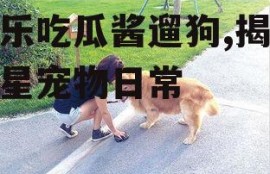 娱乐吃瓜酱遛狗,揭秘明星宠物日常