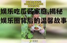 娱乐吃瓜酱家庭,揭秘娱乐圈背后的温馨故事