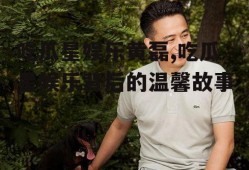 吃瓜星娱乐黄磊,吃瓜星娱乐背后的温馨故事