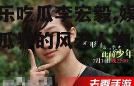 娱乐吃瓜李宏毅,娱乐吃瓜界的风云人物