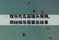 娱乐吃瓜酱罐头视频,揭秘娱乐圈幕后故事