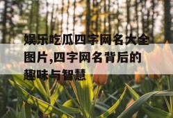 娱乐吃瓜四字网名大全图片,四字网名背后的趣味与智慧