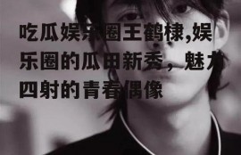 吃瓜娱乐圈王鹤棣,娱乐圈的瓜田新秀，魅力四射的青春偶像
