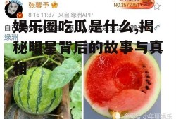 娱乐圈吃瓜是什么,揭秘明星背后的故事与真相