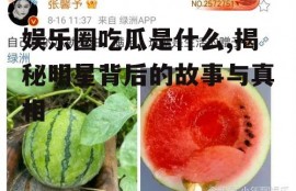 娱乐圈吃瓜是什么,揭秘明星背后的故事与真相
