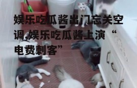 娱乐吃瓜酱出门忘关空调,娱乐吃瓜酱上演“电费刺客”