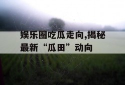 娱乐圈吃瓜走向,揭秘最新“瓜田”动向