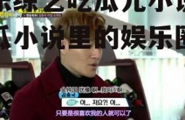 娱乐综艺吃瓜儿小说,吃瓜小说里的娱乐圈秘闻