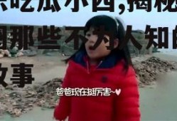 娱乐吃瓜小西,揭秘娱乐圈那些不为人知的幕后故事