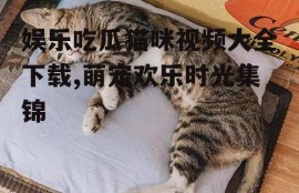 娱乐吃瓜猫咪视频大全下载,萌宠欢乐时光集锦