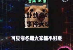 娱乐八卦劲爆吃瓜,劲爆吃瓜事件大曝光！