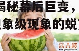 娱乐吃瓜酱到底什么变了,揭秘幕后巨变，探寻现象级现象的蜕变之路
