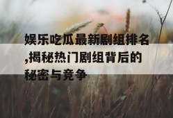 娱乐吃瓜最新剧组排名,揭秘热门剧组背后的秘密与竞争