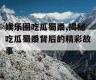 娱乐圈吃瓜蜀黍,揭秘吃瓜蜀黍背后的精彩故事