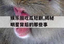 娱乐圈吃瓜短剧,揭秘明星背后的那些事