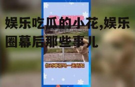 娱乐吃瓜的小花,娱乐圈幕后那些事儿