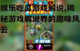 娱乐吃瓜游戏解说,揭秘游戏解说界的趣味风云