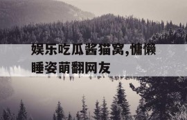 娱乐吃瓜酱猫窝,慵懒睡姿萌翻网友