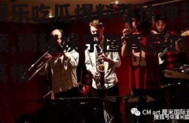 娱乐吃瓜爆料蔡徐坤视频,揭秘娱乐圈背后的真相