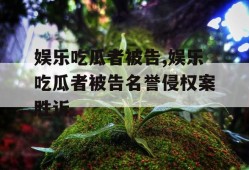 娱乐吃瓜者被告,娱乐吃瓜者被告名誉侵权案胜诉