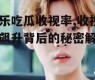 娱乐吃瓜收视率,收视率飙升背后的秘密解析