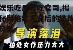 娱乐吃瓜君吃官司,揭秘网络红人背后的法律风波