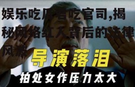 娱乐吃瓜君吃官司,揭秘网络红人背后的法律风波