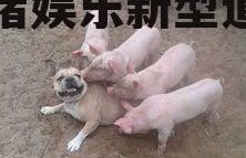 吃瓜猪娱乐新型道歉方式