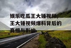 娱乐吃瓜王大锤视频,王大锤视频爆料背后的真相与影响