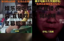 娱乐圈吃瓜群众直播小说,直播吃瓜，揭秘明星幕后生活
