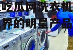 娱乐吃瓜网洗衣机,洗衣机界的明星产品盘点