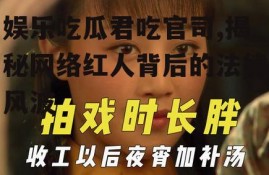 娱乐吃瓜君吃官司,揭秘网络红人背后的法律风波
