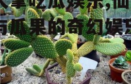 仙人掌吃瓜娱乐,仙人掌与瓜果的奇幻娱乐之旅