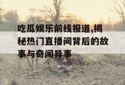 吃瓜娱乐前线报道,揭秘热门直播间背后的故事与奇闻异事