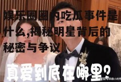 娱乐圈圈内吃瓜事件是什么,揭秘明星背后的秘密与争议
