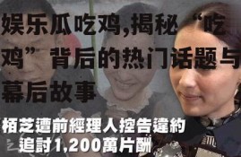 娱乐瓜吃鸡,揭秘“吃鸡”背后的热门话题与幕后故事