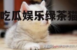 吃瓜娱乐绿茶猫