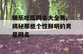 娱乐吃瓜网名大全男,揭秘那些个性鲜明的男星网名