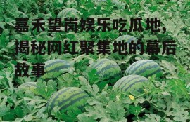 嘉禾望岗娱乐吃瓜地,揭秘网红聚集地的幕后故事