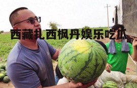 西藏扎西枫丹娱乐吃瓜