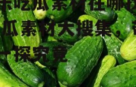 娱乐吃瓜素材在哪找到,吃瓜素材大搜集，带你一探究竟